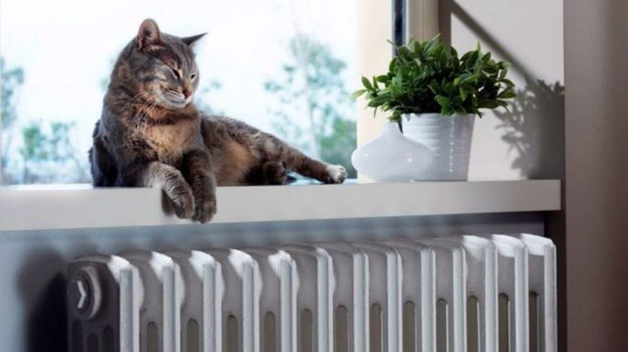 Во Львове с 11 октября начнется отопительный сезон Во Львове с 11 октября начнется отопительный сезон