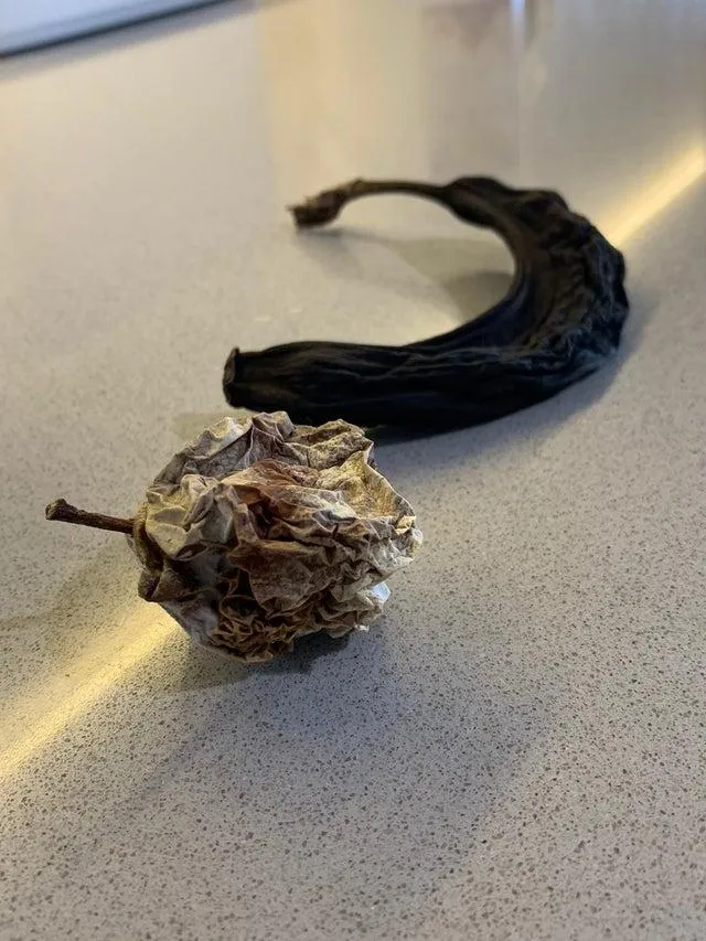 Что произойдет, если вы оставите яблоко и банан на 6 месяцев Что произойдет, если вы оставите яблоко и банан на 6 месяцев