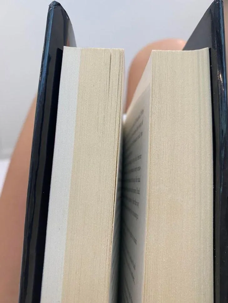 Белые страницы прикрыты обложкой 3 месяца, а желтые - оставались открыты Белые страницы прикрыты обложкой 3 месяца, а желтые - оставались открыты