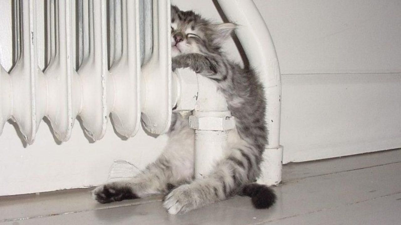 В Украину придут морозы до -5 градусов: где будет холоднее всего В Украину придут морозы до -5 градусов: где будет холоднее всего