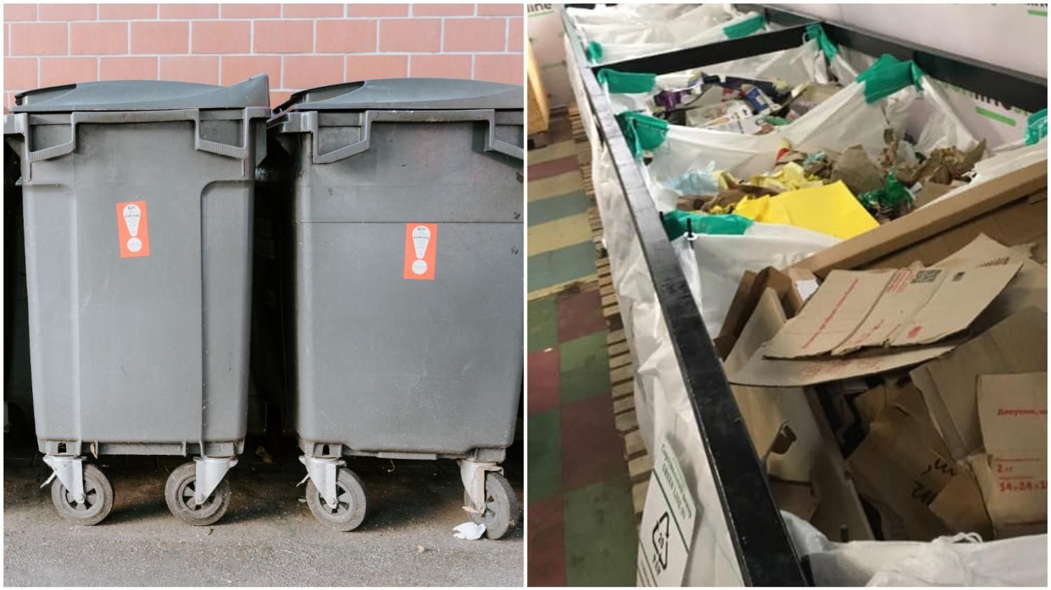 Проблема сортировки мусора: в Херсоне набирают обороты экоэкскурсии