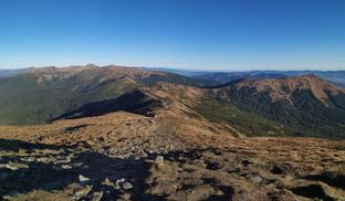 Солнечно, но ветрено и морозно: какая погода в Карпатах