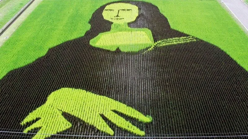 Мона Ліза з рису Мона Ліза з рису