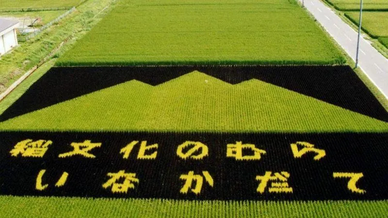 Гора з рису Гора з рису