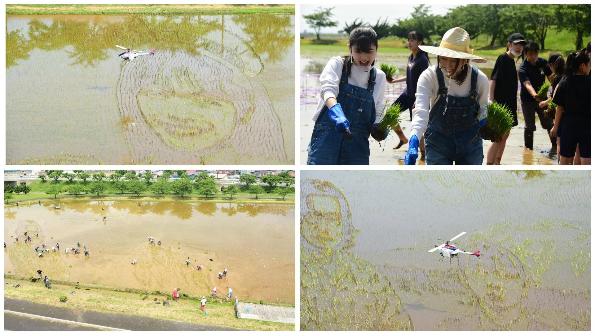 Процес створення картин з рису Процес створення картин з рису