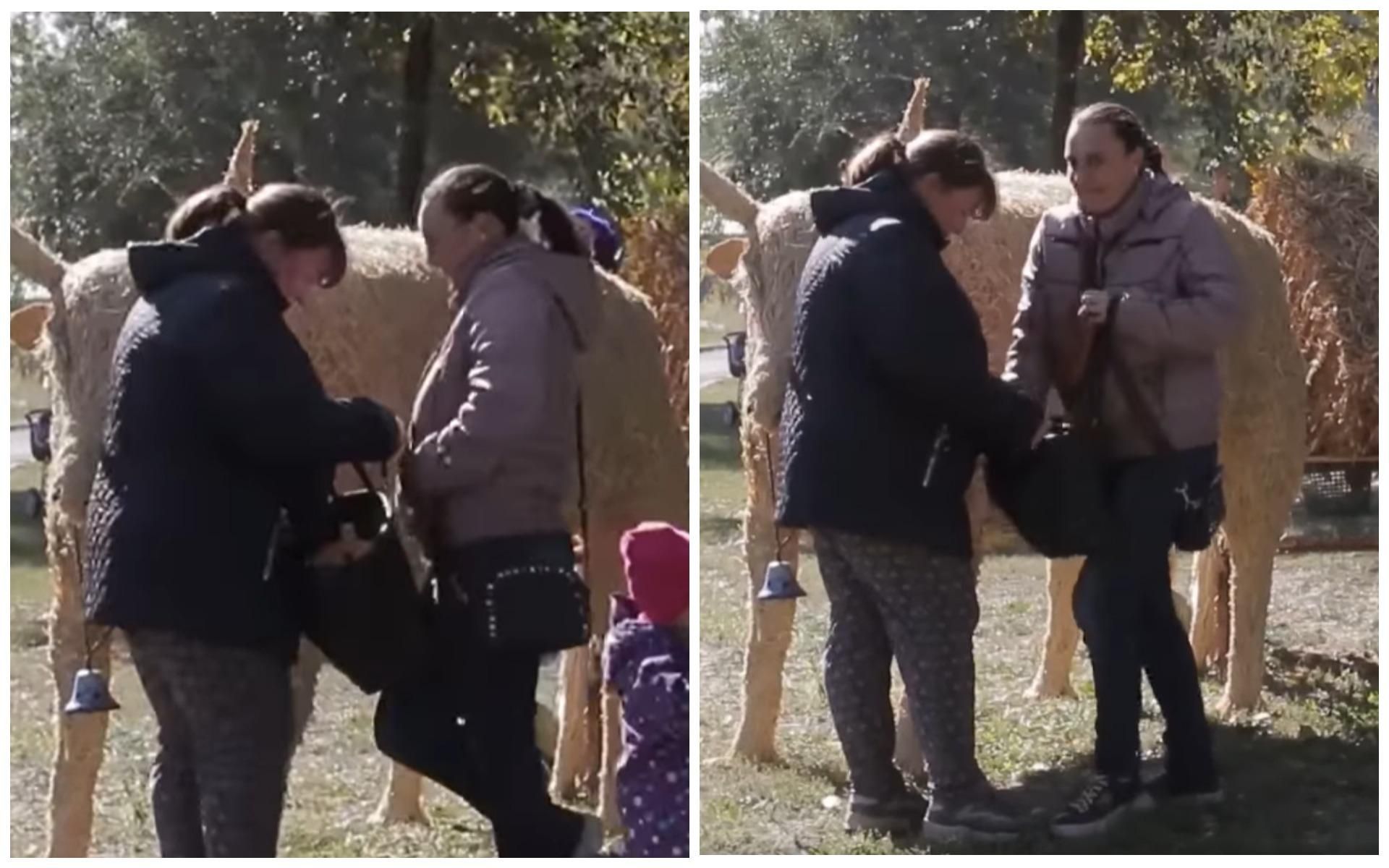 Пограбування року: у Дніпрі дві жінки вкрали в дітей гарбуз - Новини Дніпра - 24 Канал Пограбування року: у Дніпрі дві жінки вкрали в дітей гарбуз - Новини Дніпра - 24 Канал