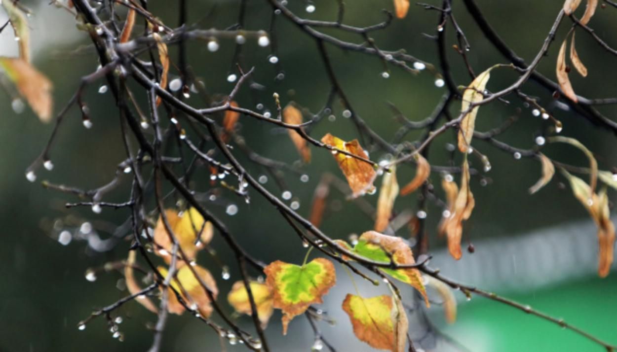 Мокрий сніг та ожеледиця: прогноз погоди на Львівщині на 12 – 16 жовтня - Львів Мокрий сніг та ожеледиця: прогноз погоди на Львівщині на 12 – 16 жовтня - Львів