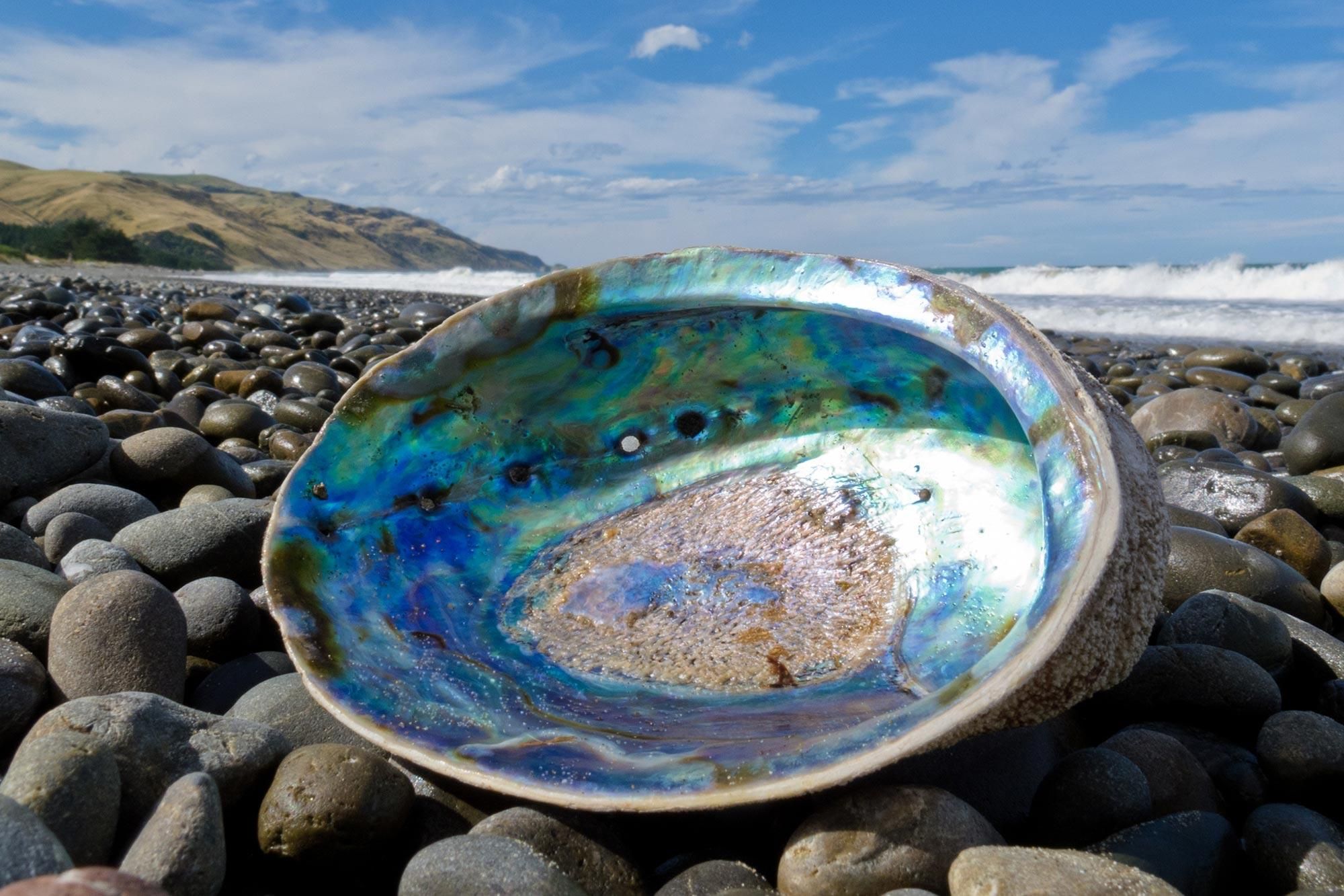 Ученые разработали самое прочное стекло в мире Ученые разработали самое прочное стекло в мире