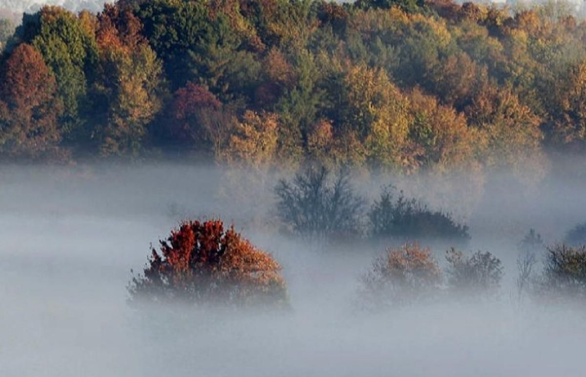 В Украину идут дожди и туманы: где и когда ухудшится погода В Украину идут дожди и туманы: где и когда ухудшится погода