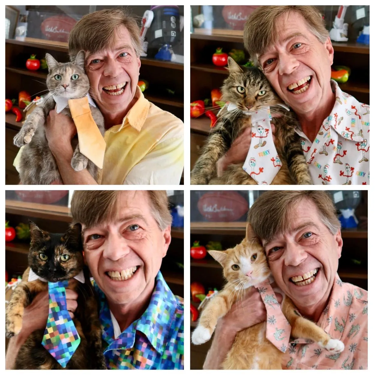 Из кусочков ткани человек пошив галстука своим котикам Из кусочков ткани человек пошив галстука своим котикам