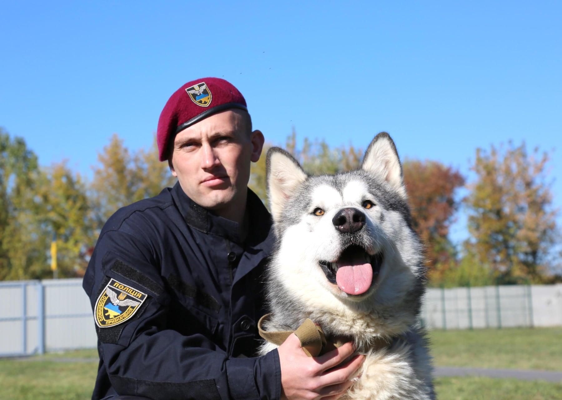 Поліцейські з Вінниці зробили яскраву фотосесію з собаками у притулку: неймовірні фото