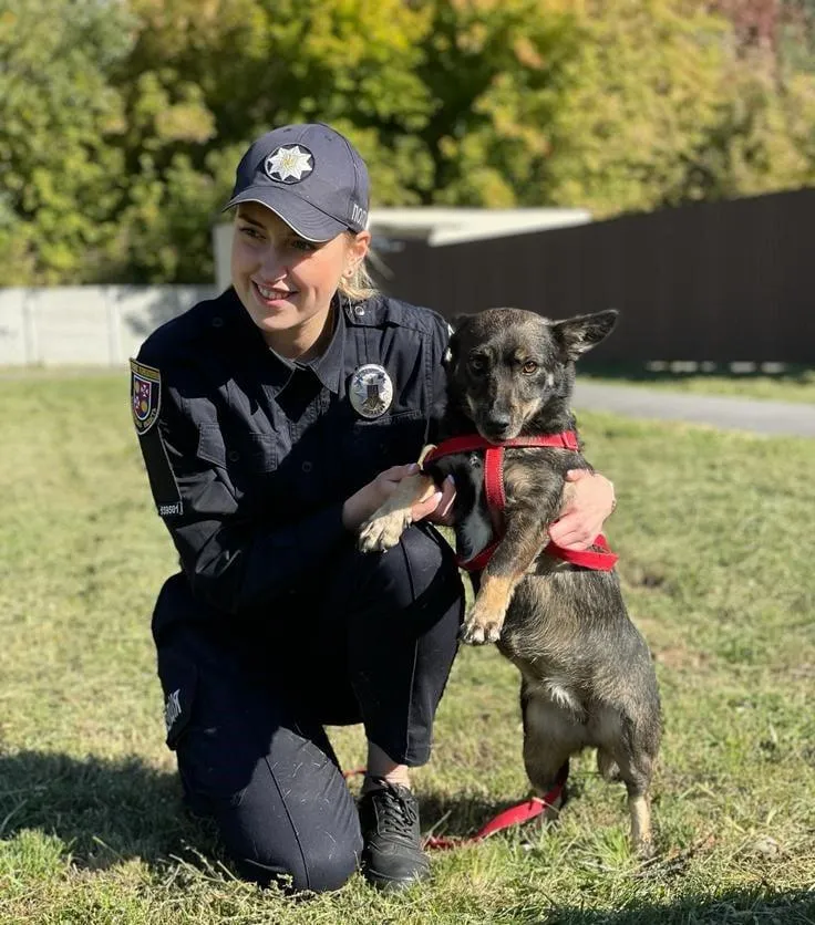 Поліцейські у Вінниці зробили яскраву фотосесію з собаками у притулку: неймовірні фото