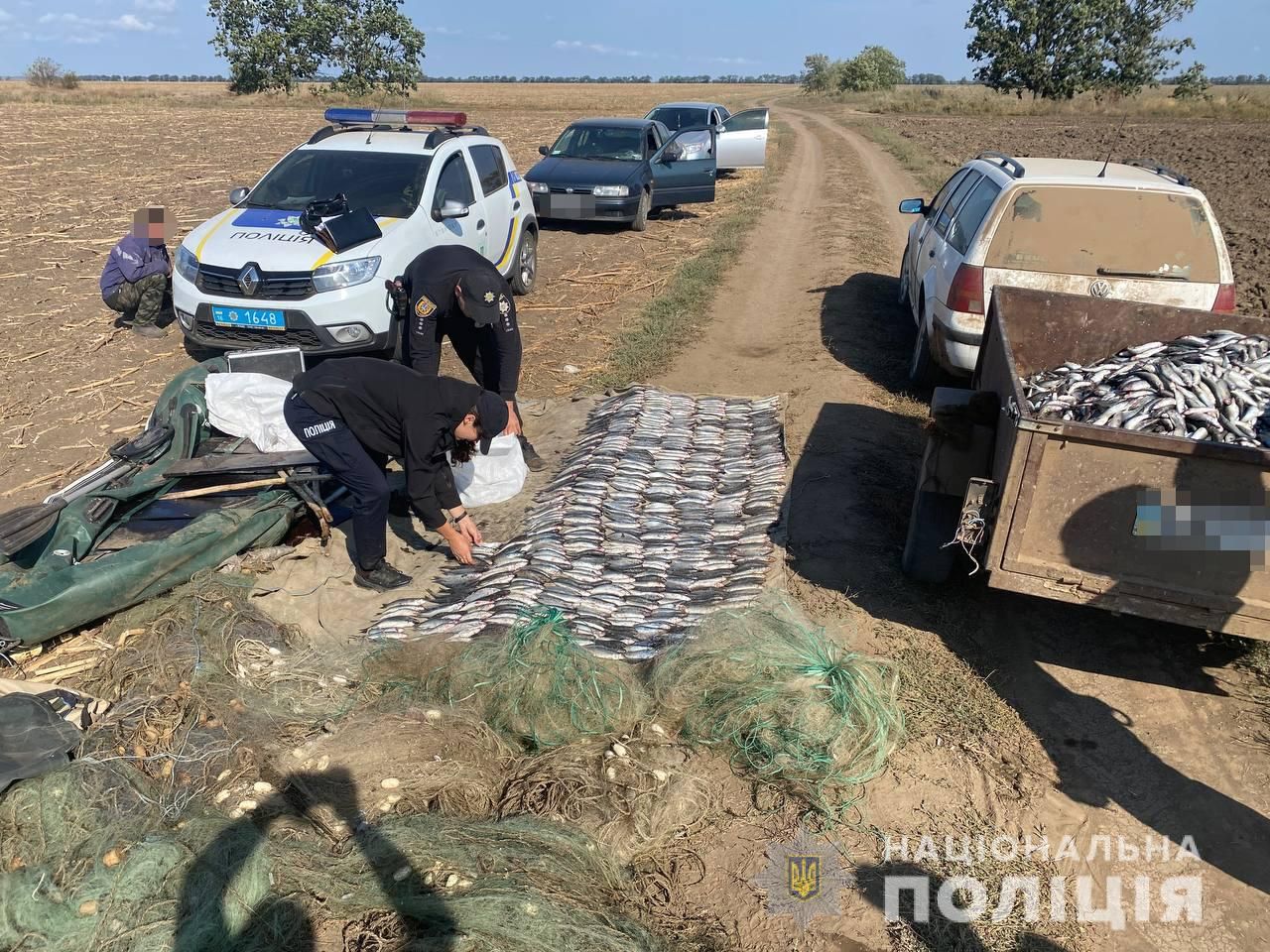 Під Одесою викрили рибних браконьєрів, які завдали державі майже 2 мільйони збитків - Новини Одеса - 24 Канал