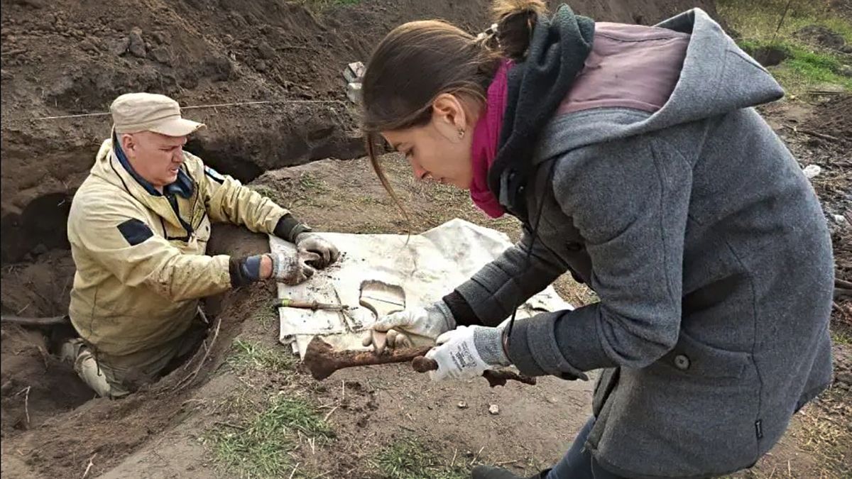 У Дніпрі знайшли останки добровольця Другої світової: просто робили фундамент - Україна новини - 24 Канал