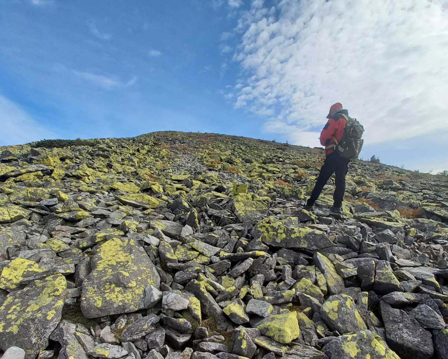 Пошел по грибы и не вернулся: в Карпатах вторые сутки ищут мужчину Пошел по грибы и не вернулся: в Карпатах вторые сутки ищут мужчину