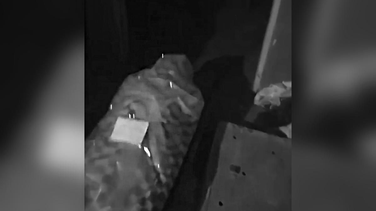 Тела оказались в подвале больницы на Харьковщине: как это объяснили в ОГА Тела оказались в подвале больницы на Харьковщине: как это объяснили в ОГА