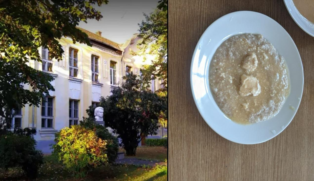 "Помои": отец ученика показал фото ужасных блюд из школьной столовой на Закарпатье