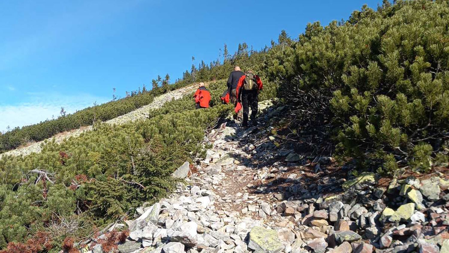 Грибник, якого на Закарпатті рятувальники шукали дві доби, знайшовся сам - Україна новини - 24 Канал Грибник, якого на Закарпатті рятувальники шукали дві доби, знайшовся сам - Україна новини - 24 Канал