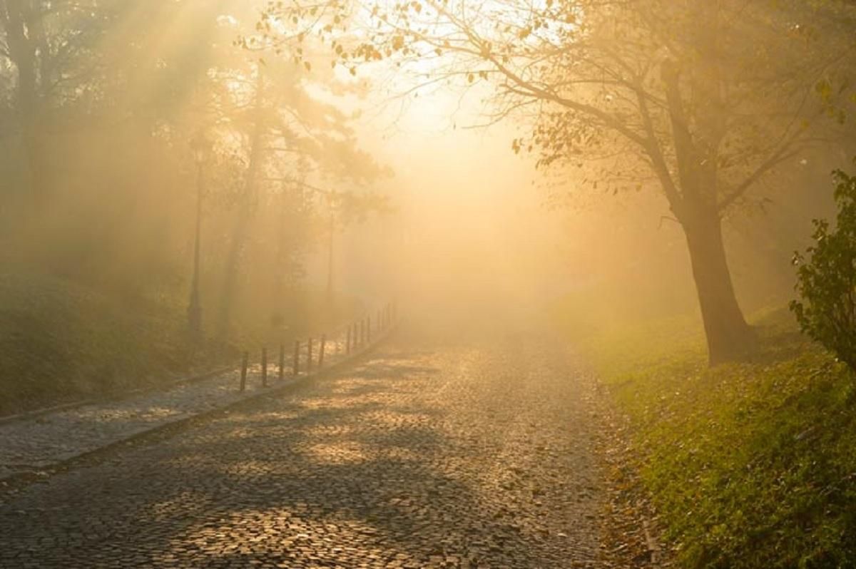Погода на 17 октября 2021 в Украине: что прогнозируют синоптики Погода на 17 октября 2021 в Украине: что прогнозируют синоптики