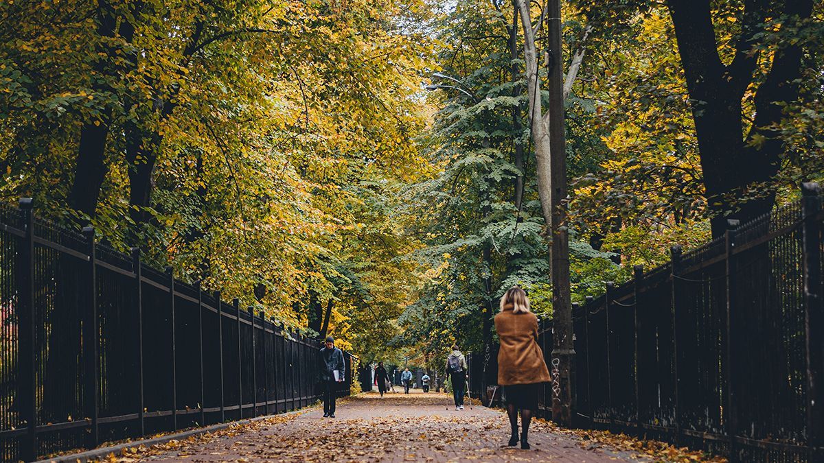 Погода на 14 жовтня 2021 в Україні: що прогнозують синоптики Погода на 14 жовтня 2021 в Україні: що прогнозують синоптики