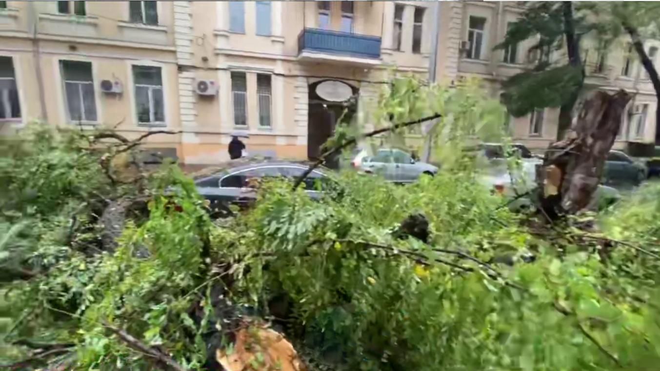 В Одесі падають дерева та пливуть вулиці: показали наслідки негоди - Новини Одеси - 24 Канал