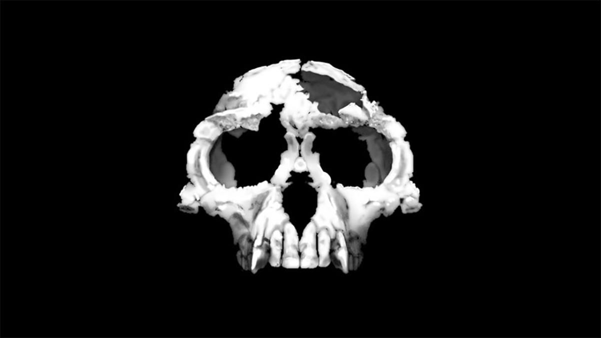 Найстаріші сліди гомінінів виявилися ще стародавнішими, ніж вважалося - Новини технологій - Техно Найстаріші сліди гомінінів виявилися ще стародавнішими, ніж вважалося - Новини технологій - Техно