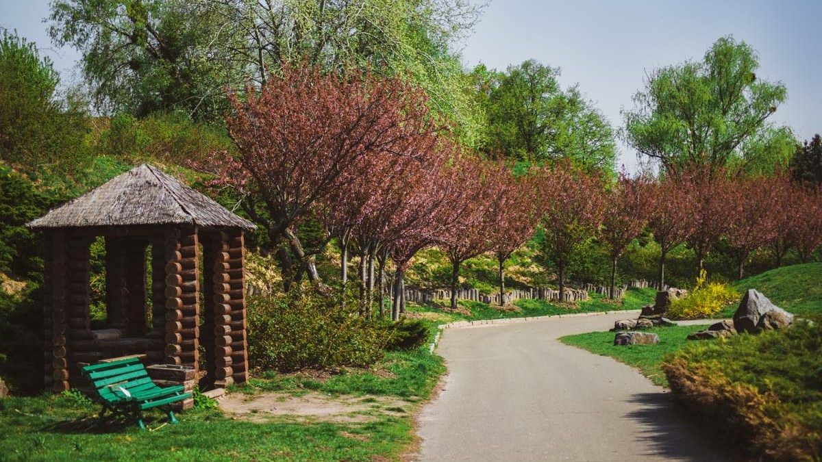 Глибокі рани та сильна кровотеча: наслідки побиття жінки битою у ботсаду Києва - Київ Глибокі рани та сильна кровотеча: наслідки побиття жінки битою у ботсаду Києва - Київ