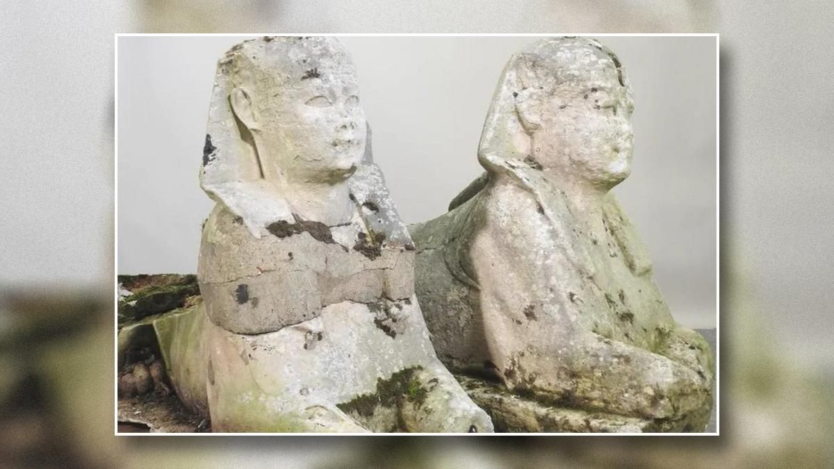 Занедбані садові скульптури за 200 фунтів виявилися древніми єгипетськими сфінксами - Новини технологій - Техно