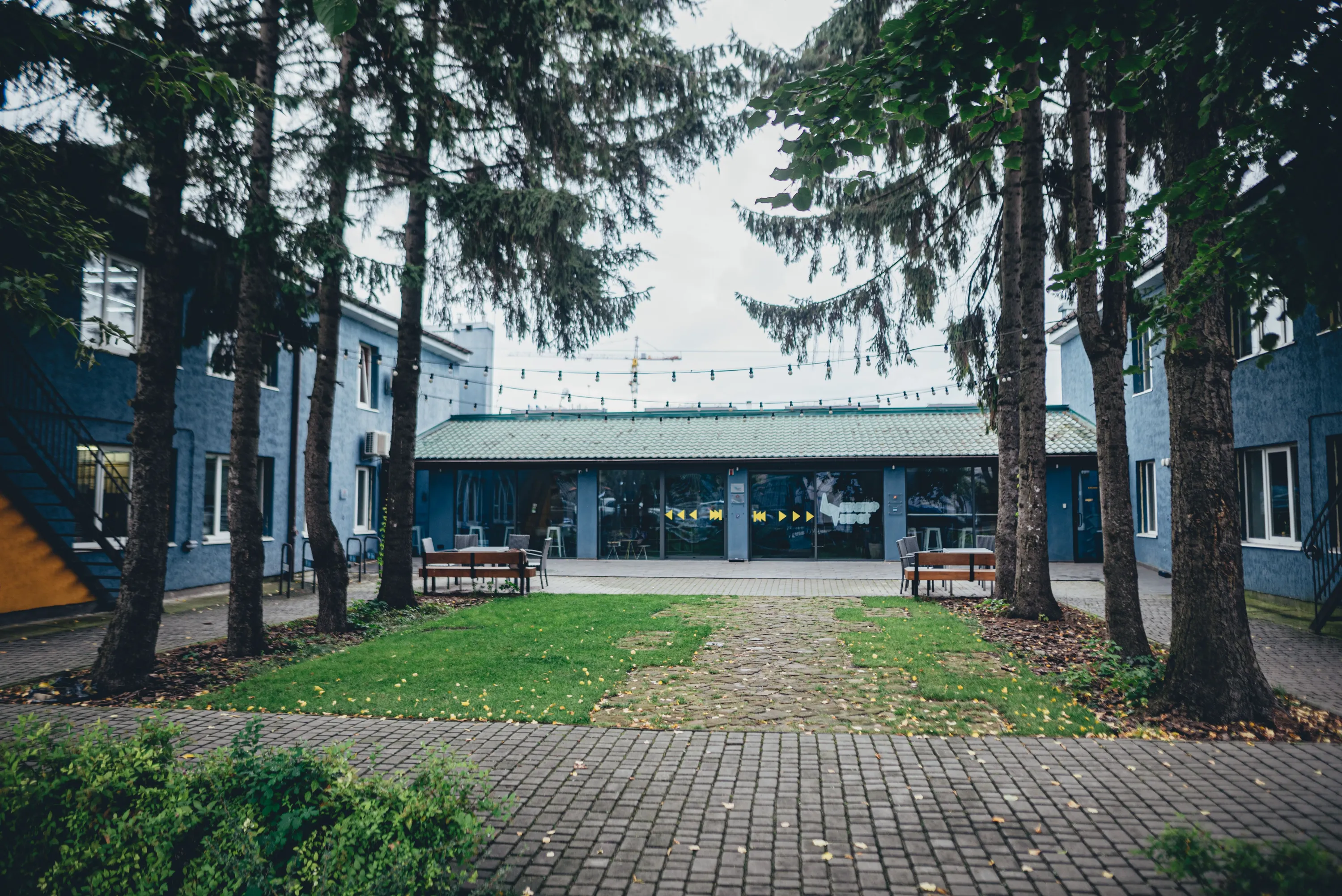 Степан Веселовський, Львівський IT Кластер, програмування Степан Веселовський, Львівський IT Кластер, програмування