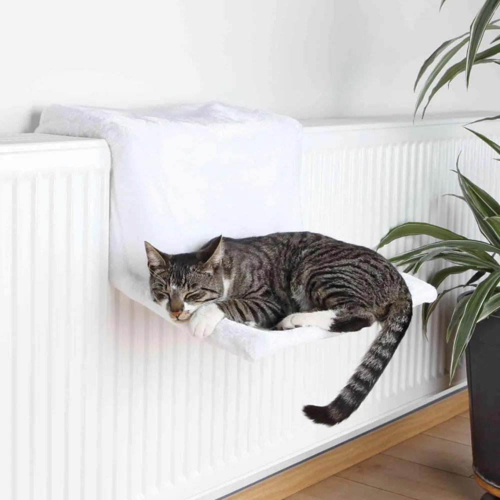 Кот в гамаке Кот в гамаке