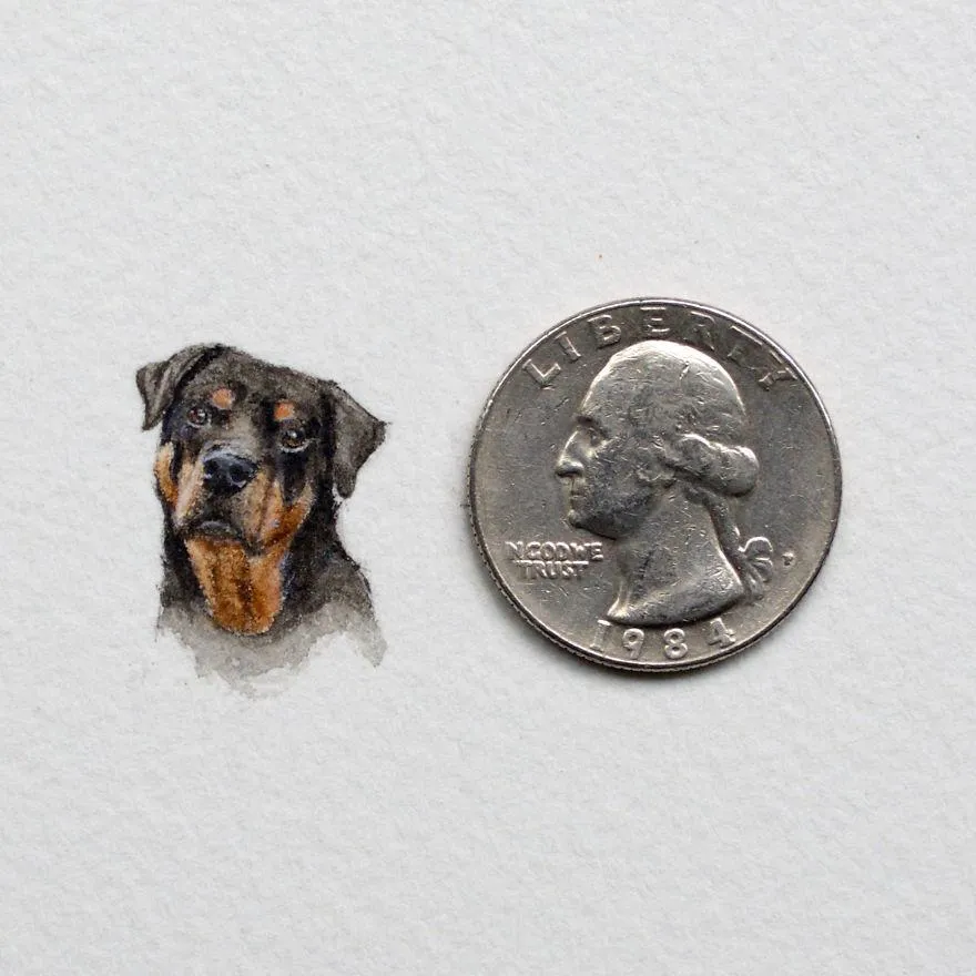 Песик не більший за монету Песик не більший за монету