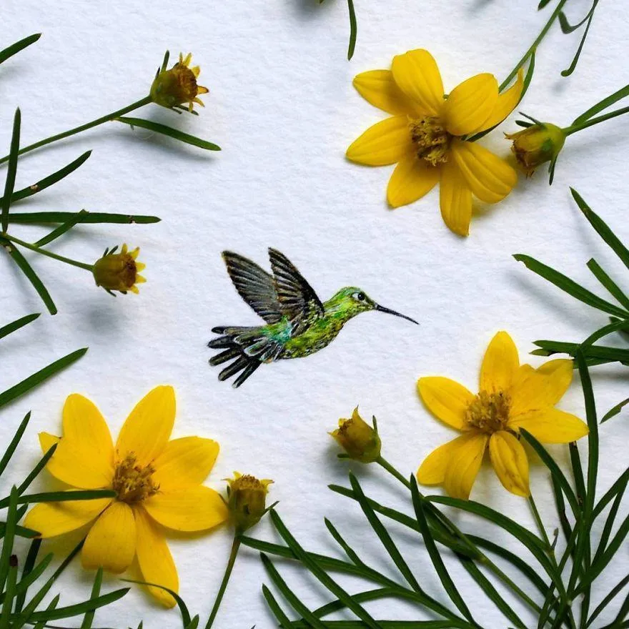 Найкращий птах для мініатюр – колібрі Найкращий птах для мініатюр – колібрі