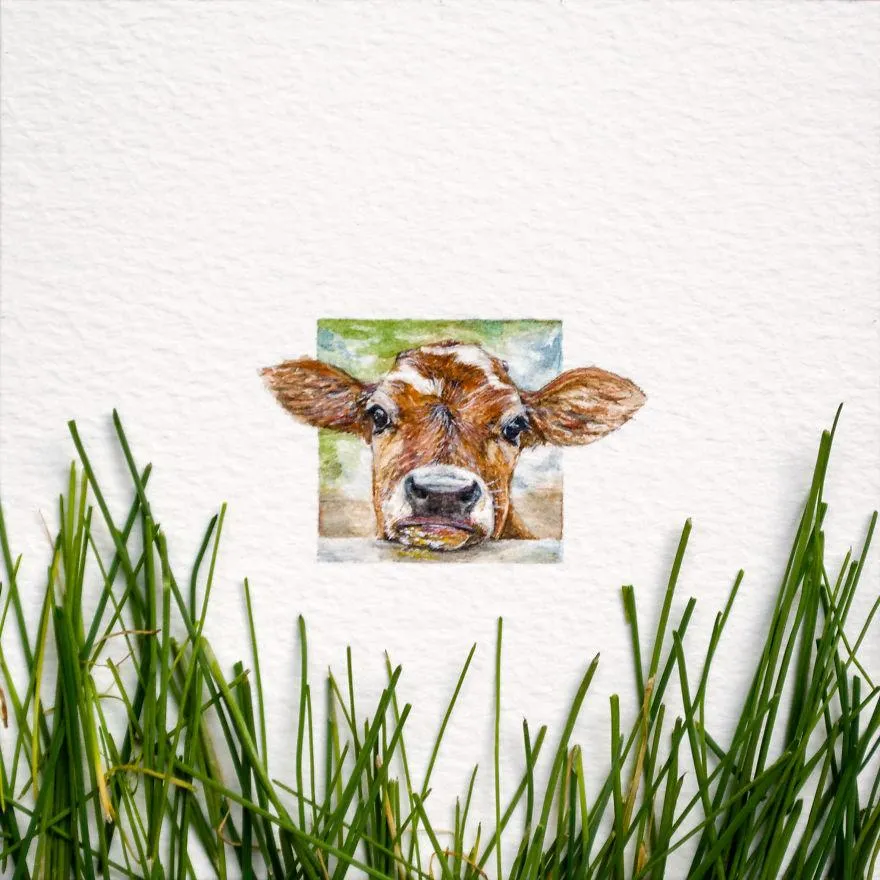 Яка мила корівка Яка мила корівка