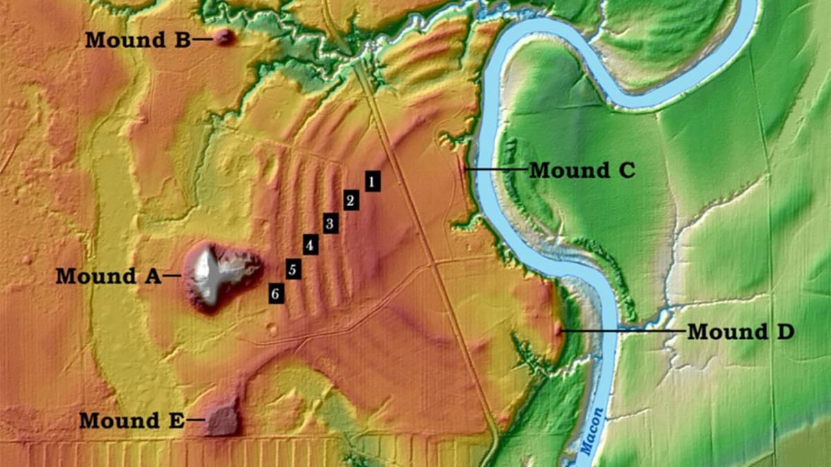 Жителі прадавньої Америки були висококваліфікованими інженерами: дослідження - Новини технологій - Техно Жителі прадавньої Америки були висококваліфікованими інженерами: дослідження - Новини технологій - Техно