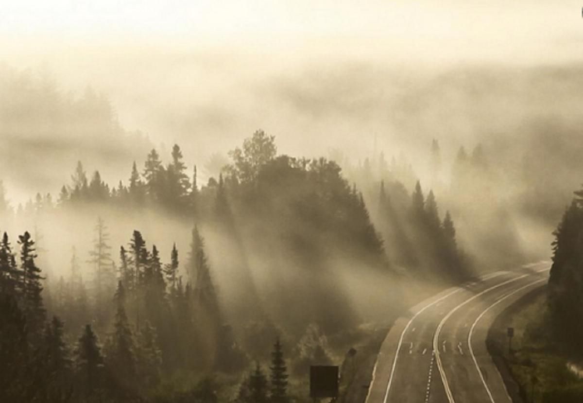 Україну огорне густий туман: у яких регіонах погіршиться видимість - 24 Канал Україну огорне густий туман: у яких регіонах погіршиться видимість - 24 Канал