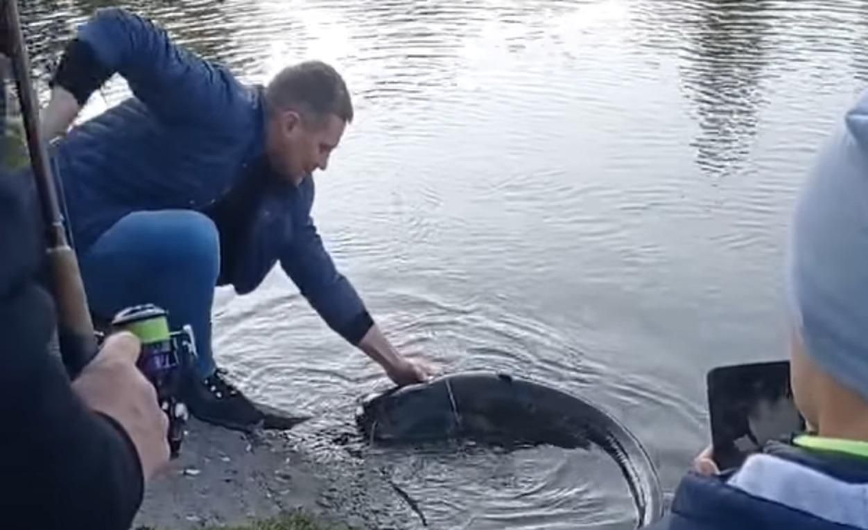 "Вот это царь рыб!": в озере в Черновцах выловили огромную рыбину