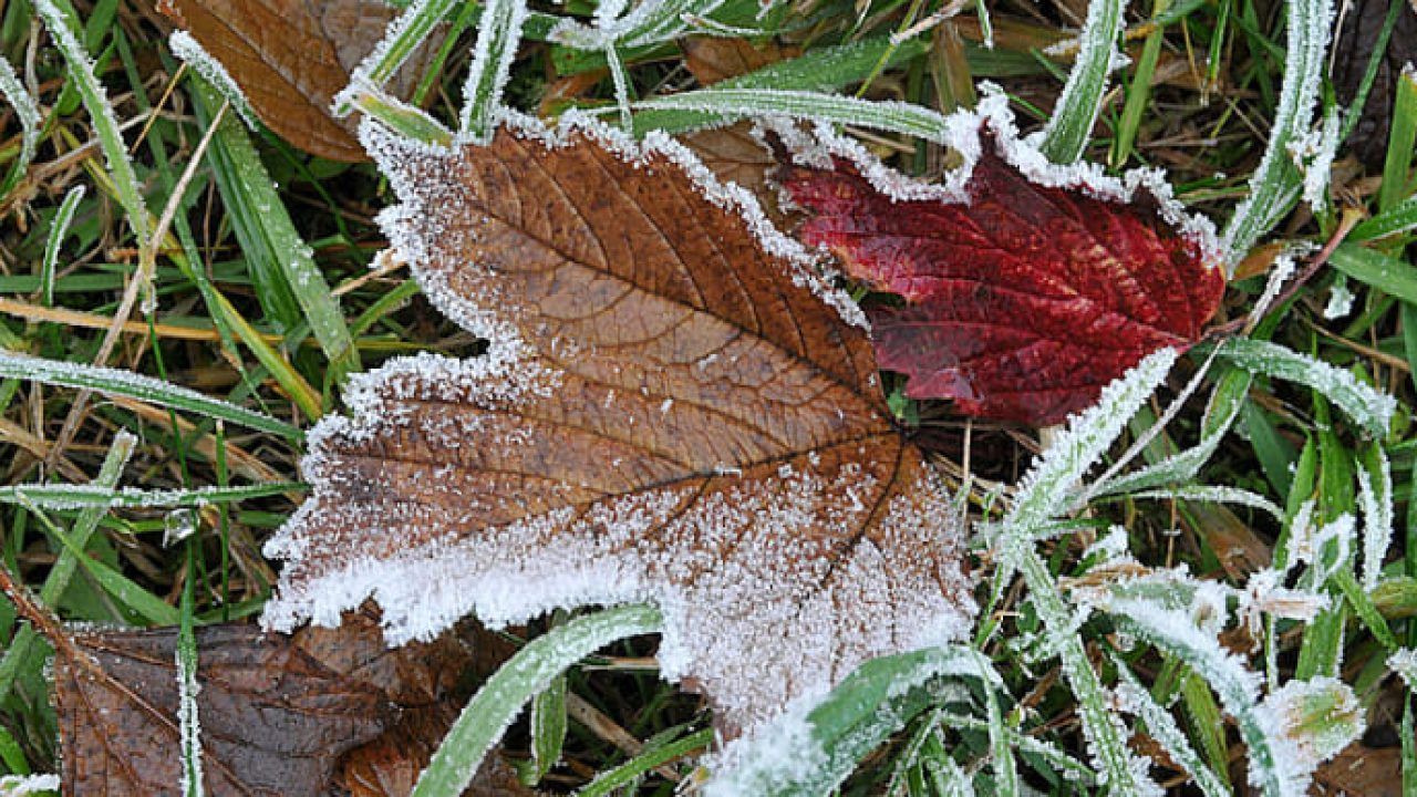 В Украину идет похолодание с морозами: в каких регионах В Украину идет похолодание с морозами: в каких регионах