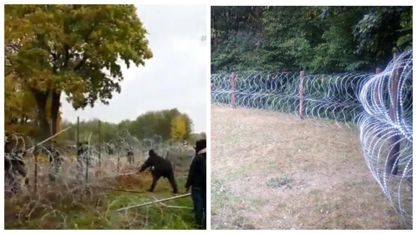 Мигранты в Беларуси штурмуют польскую границу: разрушают забор из колючей проволоки