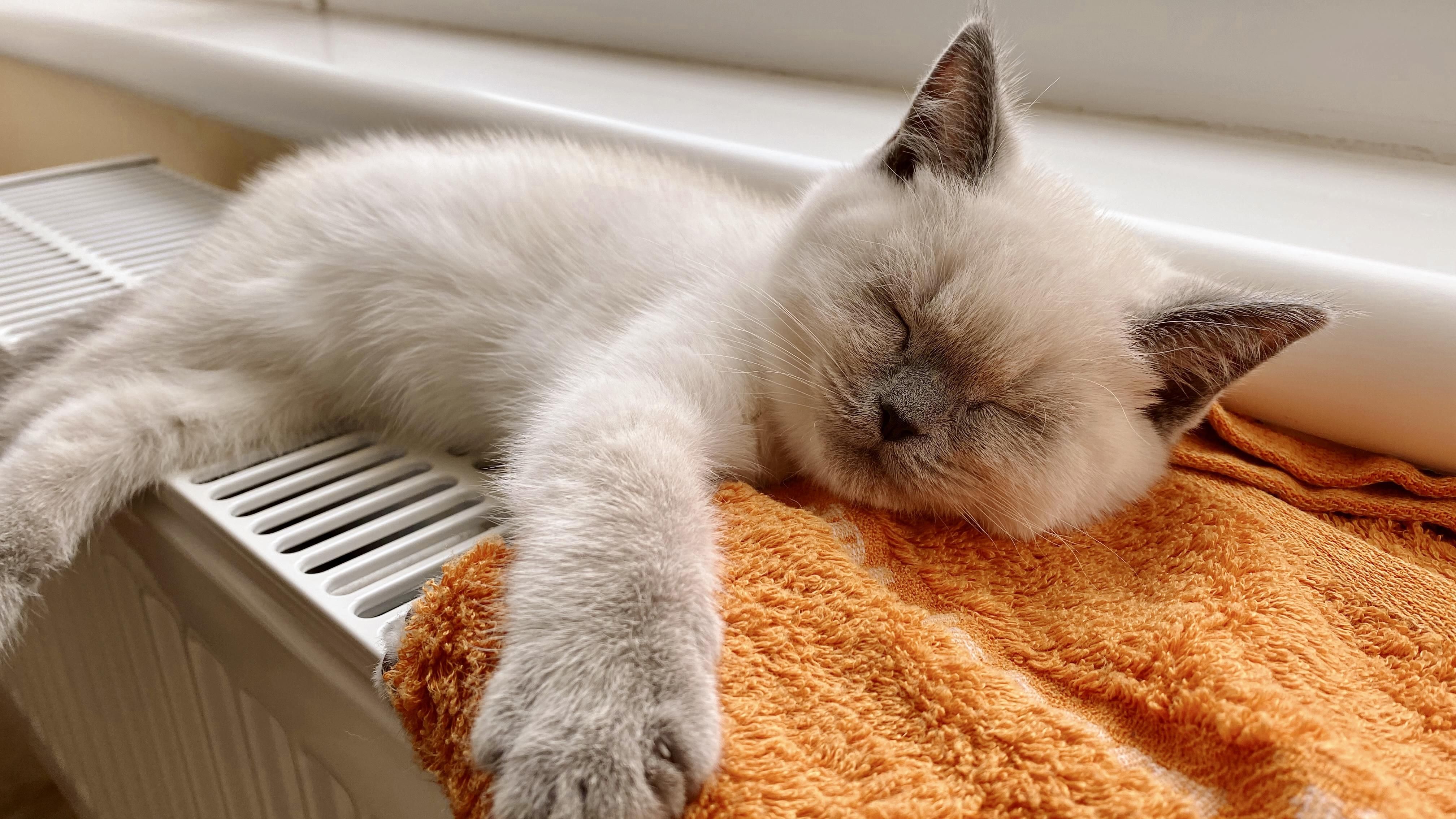 Погода на 19 жовтня 2021 в Україні: що прогнозують синоптики Погода на 19 жовтня 2021 в Україні: що прогнозують синоптики