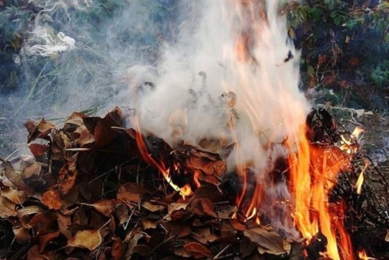 Знепритомніла і впала у вогнище: під Дніпром жінка палила листя й згоріла сама - Новини Дніпра - 24 Канал