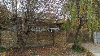 Смертельное нападение собак на пенсионерку в Харькове: соседи рассказали жуткие детали