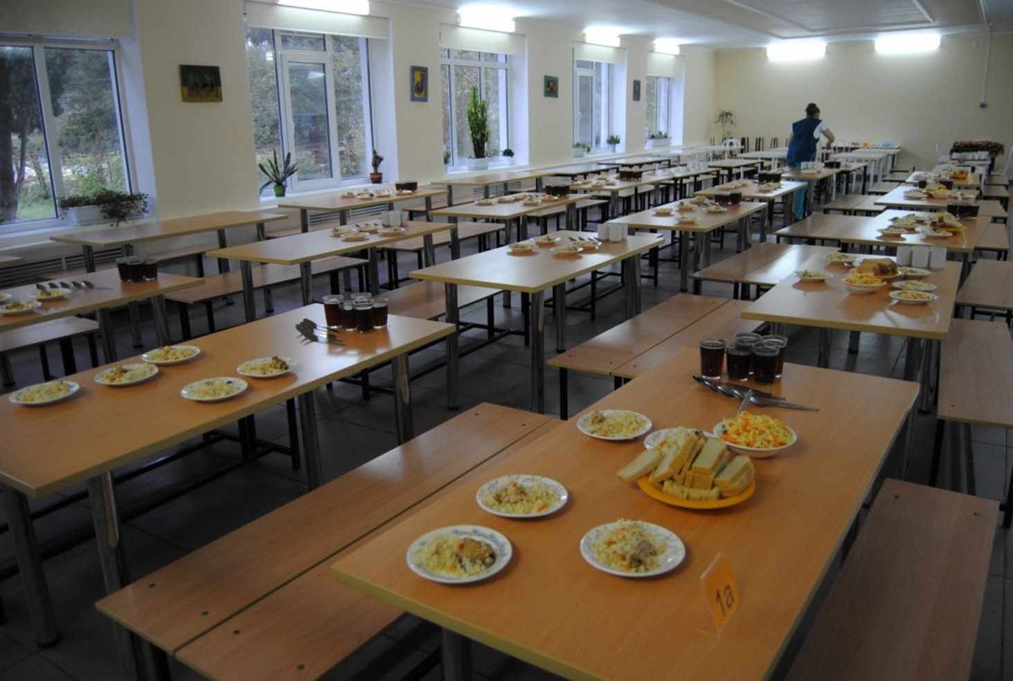 Мышиный помет и неизвестная продукция: обнаружили ужасные условия в школах Черновцов