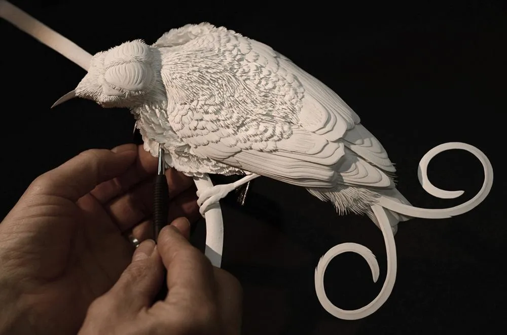 Паперовий птах Кельвіна Ніколса Паперовий птах Кельвіна Ніколса