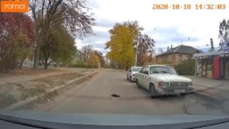 Переехал котенка и бросил умирать на глазах детей: в Харькове совершили ужасный поступок