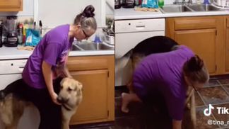 Подставил спину и дал опереться: пес почувствовал у хозяйки эпилептический припадок