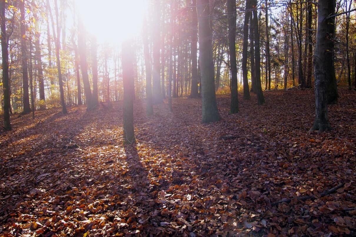 Погода на 20 жовтня 2021 в Україні: що прогнозують синоптики Погода на 20 жовтня 2021 в Україні: що прогнозують синоптики