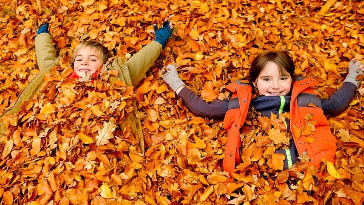 Що робити на осінніх канікулах: цікаві ідеї, які вразять дітей - Україна новини - Освіта