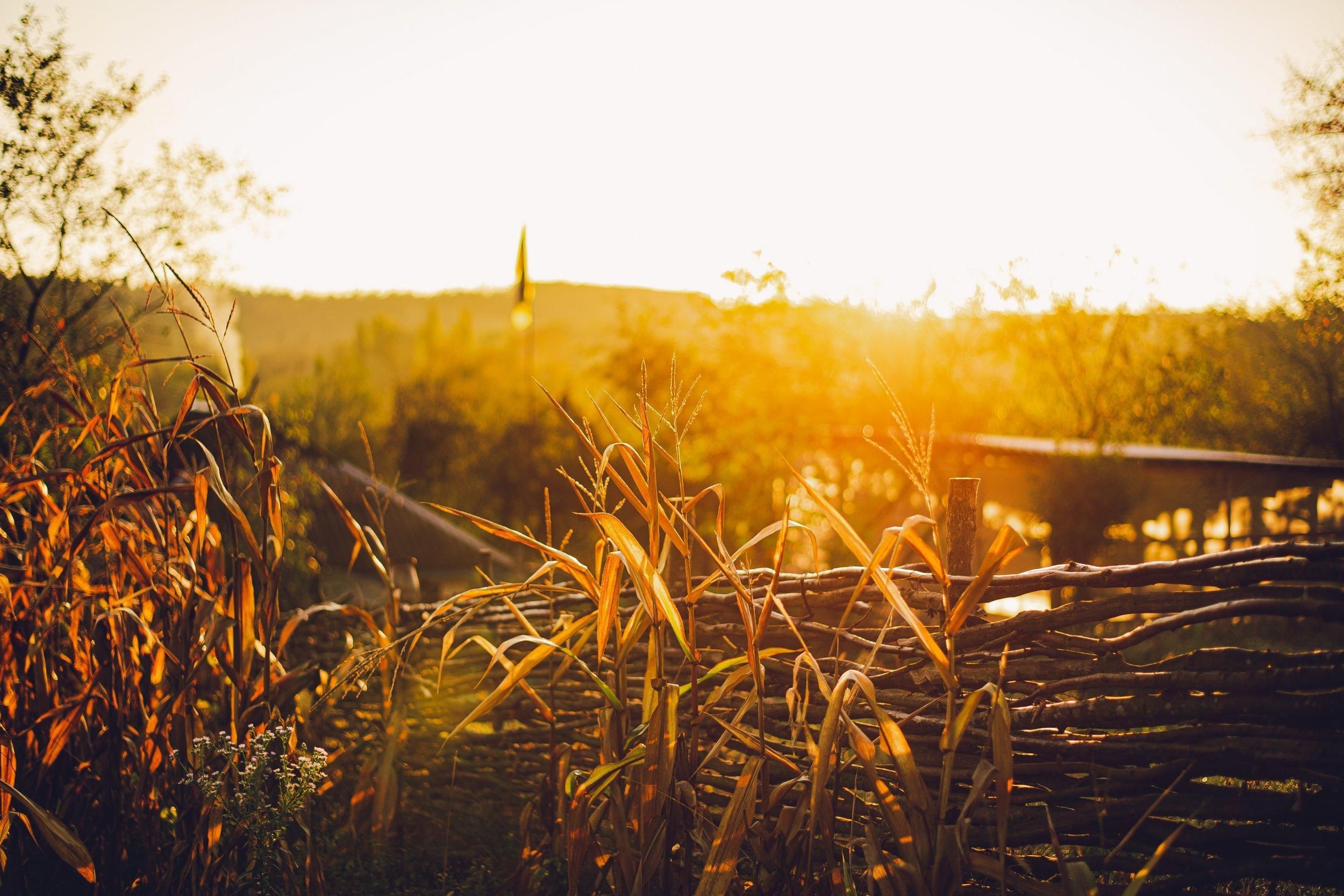 На Львовщину идет потепление: прогноз погоды на 20 – 24 октября На Львовщину идет потепление: прогноз погоды на 20 – 24 октября