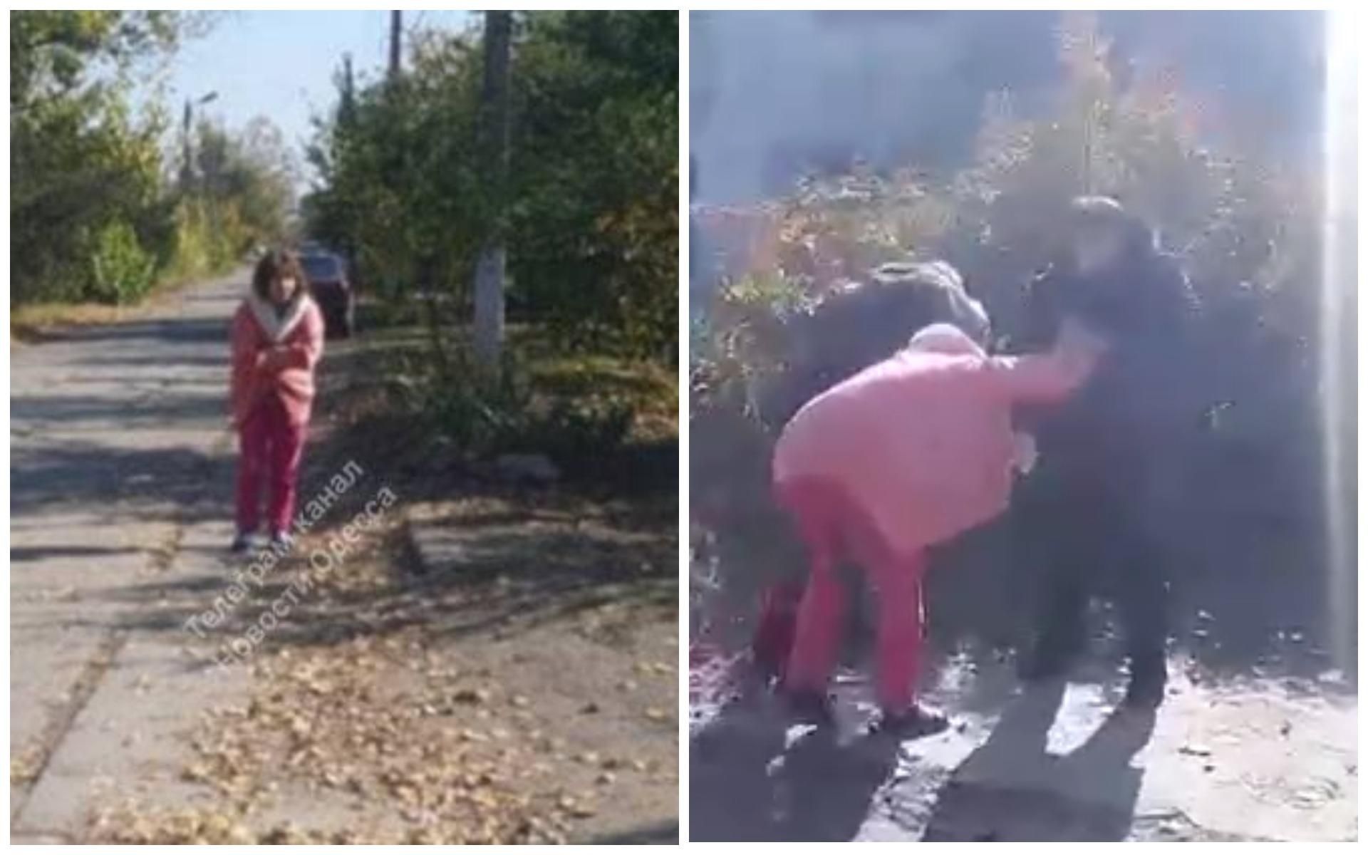 В Одесской области женщина сбила собаку и хотела скрыться: очевидцы жестоко наказали ее В Одесской области женщина сбила собаку и хотела скрыться: очевидцы жестоко наказали ее