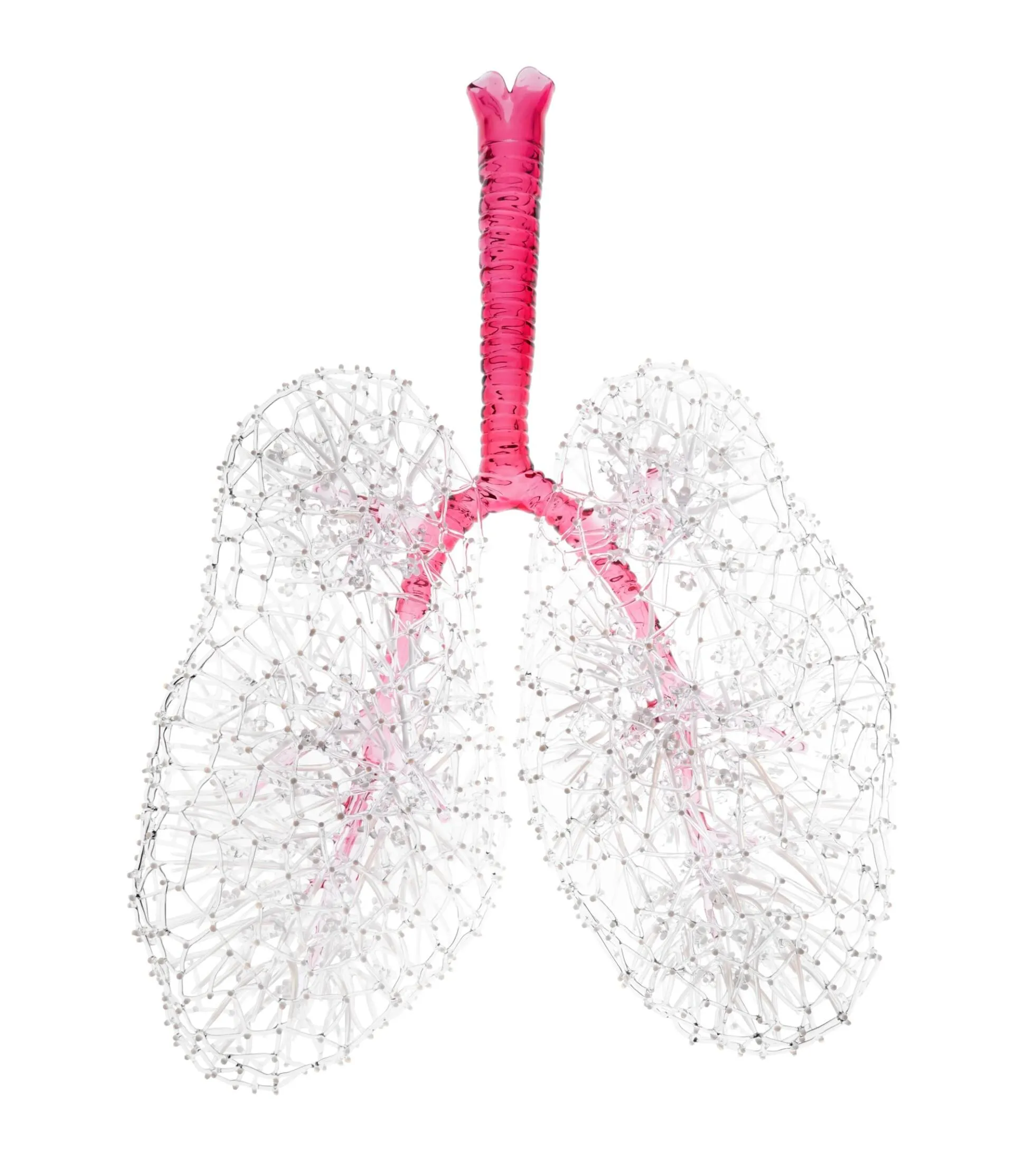 Скляні вироби Кіт Полсон Скляні вироби Кіт Полсон